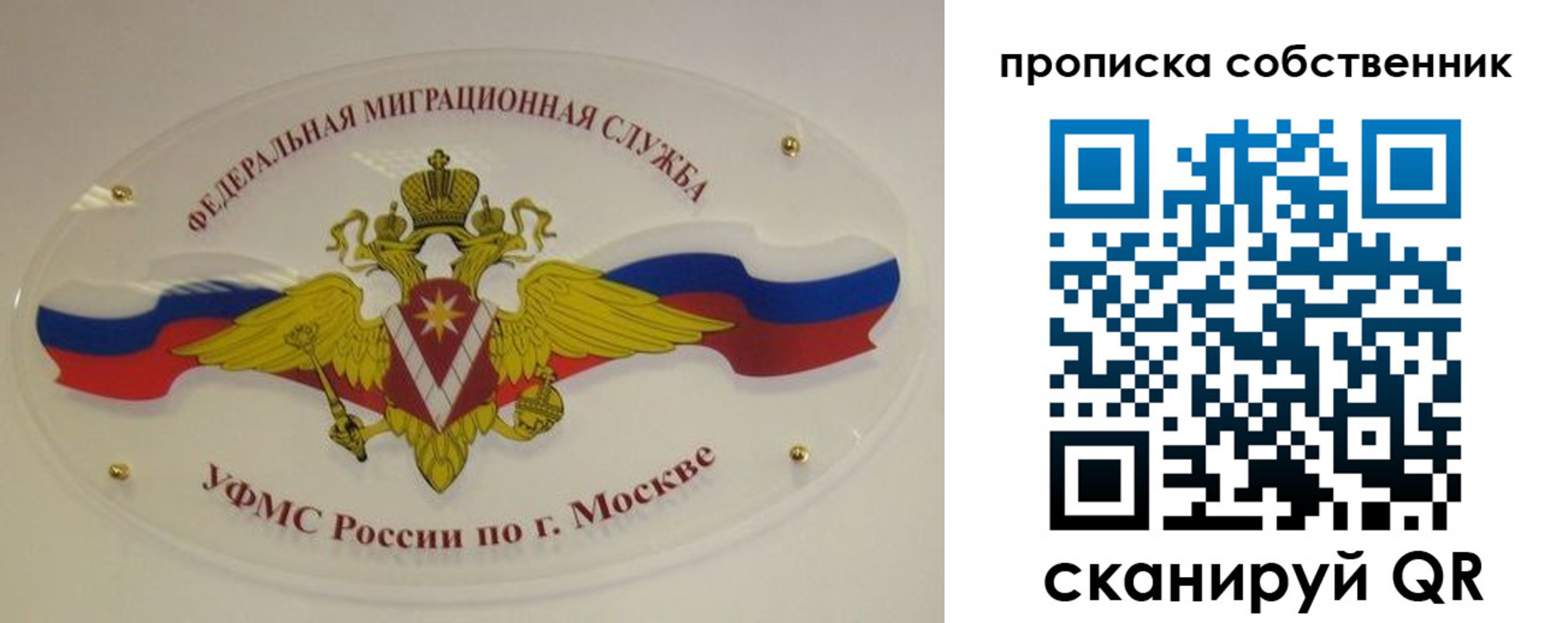 прописка 2025 в Белёве